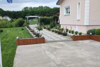 Casă cu 4 camere în Piscani - 3