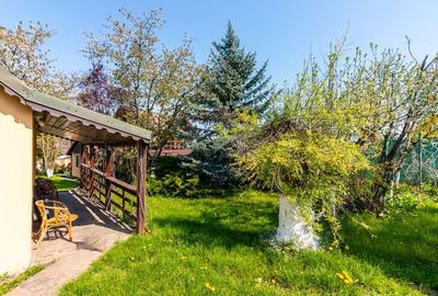 Casă individuală cu 5 camere cu Teren 1000 Mp în Belciugatele - 36