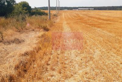 Teren pentru casa/case in Branesti pe strada Toporasi - 2