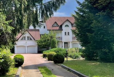 Vanzare vila/casa de vacanta - 22