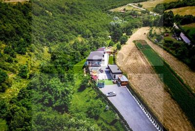 Casa exclusivista cu piscina, 150mp, teren 1500mp, zona Somesu Rece - 25