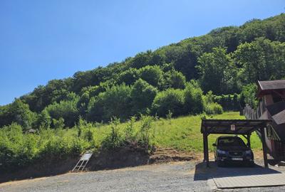 Teren de 3533 mp, în Exterior Vest - 1