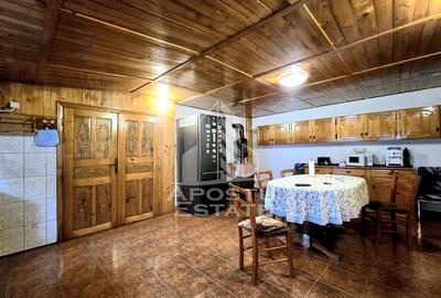 Casa individuala, teren generos, 771 mp, zona Bogdanestilor - 28