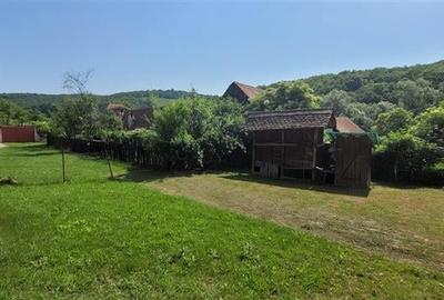 Casa sat Sangatin, jud.Sibiu, cu teren1.93 Ha,comision 0 - 4