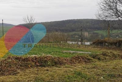 Casa individuala 1 camera, 51 mp, 3000 mp teren, Geaca - 3