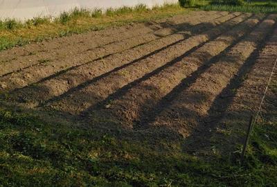 Casă cu 4 camere în Petid - 1