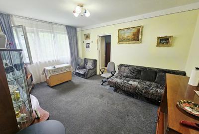 Apartament cu 2 camere nedecomandat în Malu Roșu
