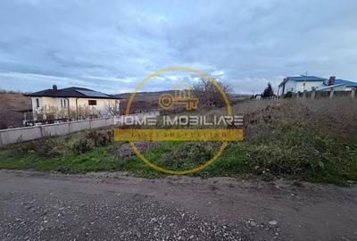 Teren Bucium – Plopii Fără Soț, 469–938 mp - 3