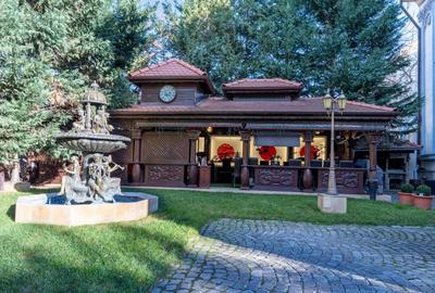 De Vanzare! Vila Exclusivista in zona Unirii - 5