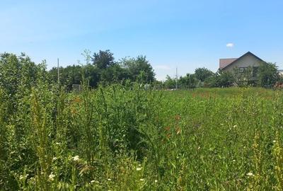 1.528 mp deschidere 24 m toate utilitățile Măgurele, Strada Trifoiului - 6