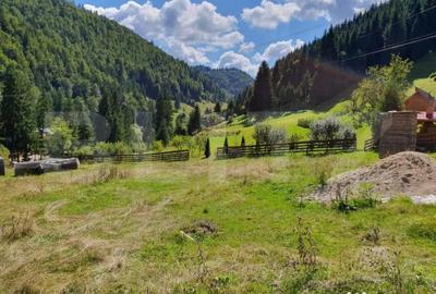 Teren de 3015 mp, în Arieșeni - 4