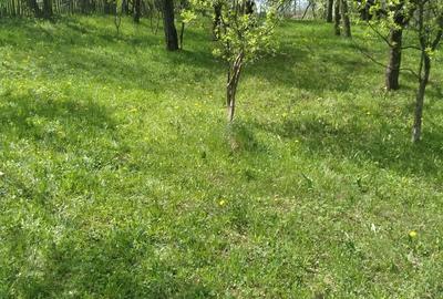 Teren de 2500 mp, în Pietriceaua