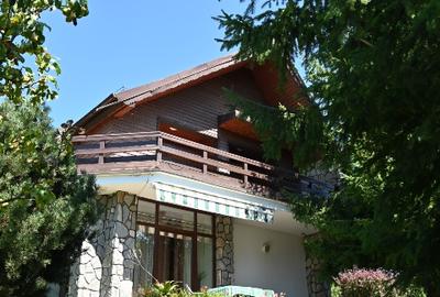 Vila premium Breaza, priveliste, sauna - 1