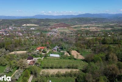 Teren de 2000 mp, în Copalnic - 4