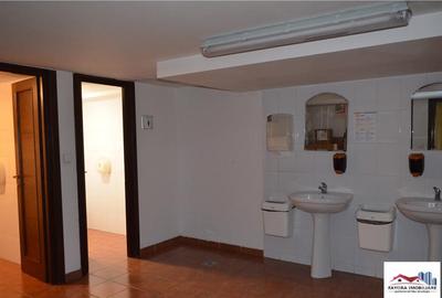 Cele Mai Cautate Spatii Comerciale/Birouri - 9