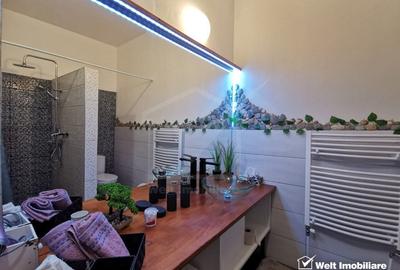 Casa 5 cam., 300 mp, crama, gradina, iaz, aer curat, liniste,  cartier Gruia - 26