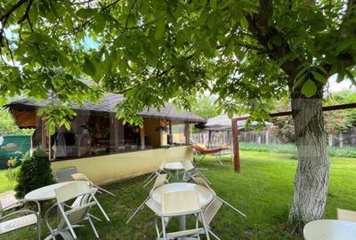 Casa P + M 369 mp utili, teren 1.515 mp, foi?or, Leamna de - 13