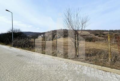 Teren Construcții intravilan de 14000 mp, în Est - 3