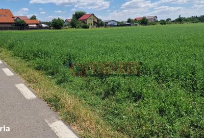 Spațiu comercial, în Bolintin-Deal - 3