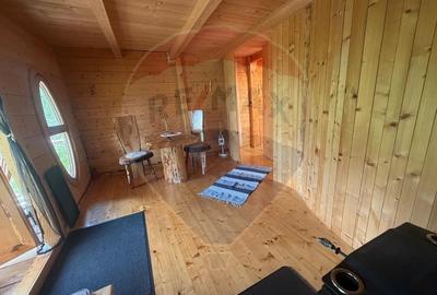 Casă cu 14 camere cu Teren 62330 Mp în Horea - 9