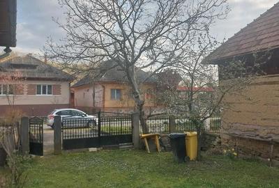 Casă cu 3 camere cu Teren 2000 Mp în Curtuiușu Mare - 3