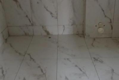 2 case P+ 1 de vanzare - 2