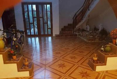 ViLA de LUX cu un DESIGN deosebit in centrul orasului Nadlac - 1