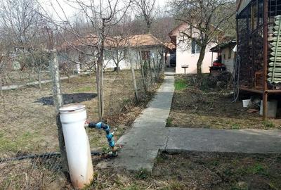 Casă în Racovițeni - 3