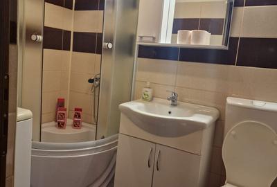 Apartament cu 2 camere decomandat în Dosu Bricii - 2