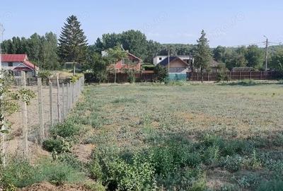 Spațiu comercial, în Borcea - 4