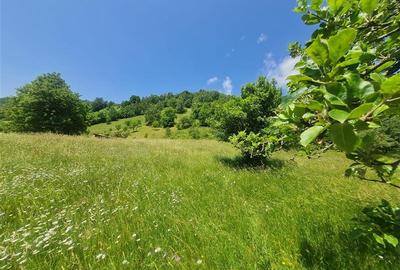 Teren Construcții intravilan de 1449 mp, în Moieciu de Jos - 10