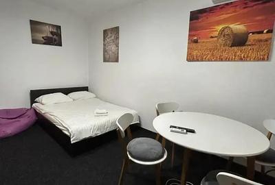 Apartament 1 camera-renovat recent-bd.Gheorghe Lazar - 3