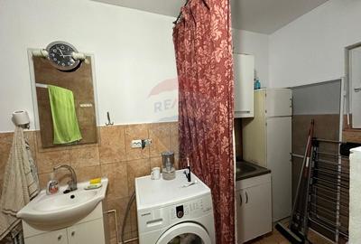 DE VANZARE- GOSPODARIE cu 95 arii teren - 9