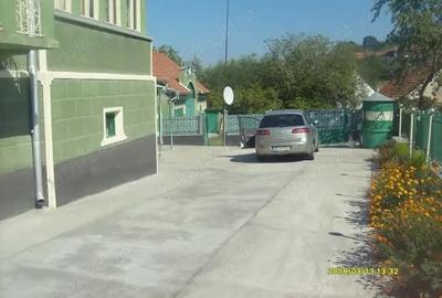 Casă cu Teren 1300 Mp în Silvașu de Sus - 5