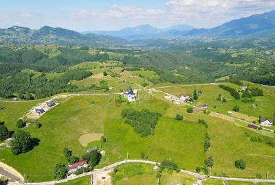 Teren de 13000 mp, în Șirnea - 1