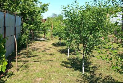 Casă cu 3 camere în Valea Roșie - 3