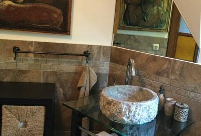 Vila de poveste 5 camere zona Bolintin Vale, judetul Giurgiu - 18