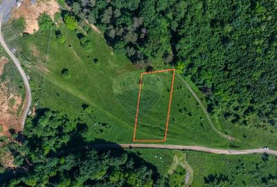 Teren agricol extravilan de 1375 mp, în Cristian - 2