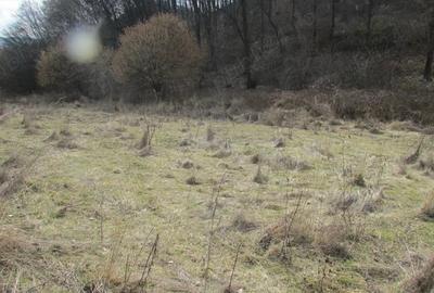 Teren arabil , fana? , livada langa padure situate in Turda? ?i Le?nic - 5