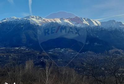 Teren de 10279 mp, în Bran - 7