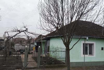 Casă cu 5 camere cu Teren 688 Mp în Central - 13