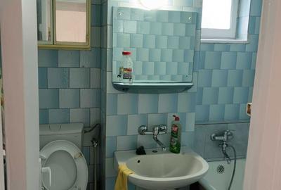 Apartament cu 2 camere semidecomandat în Dosu Bricii - 3
