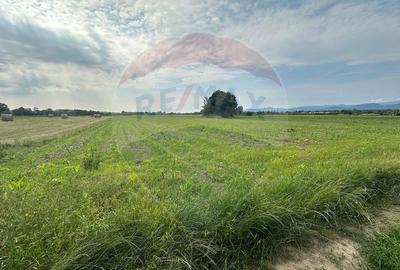 DE VANZARE- Teren INTRAVILAN in Coltau - 2