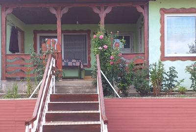 Casa, teren ?i anexe. In Boto?ani, Un?eni, Burle?ti - 16