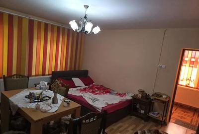 Casă cu 6 camere în Jimbolia - 1
