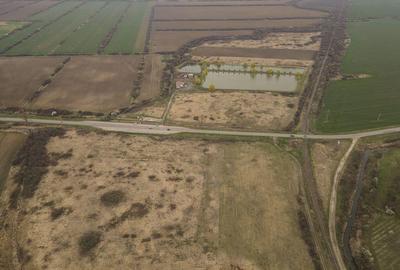 Teren extravilan in Ineu - 6