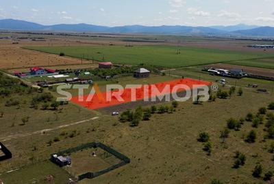 Teren intravilan Livada Sanpetru - 3