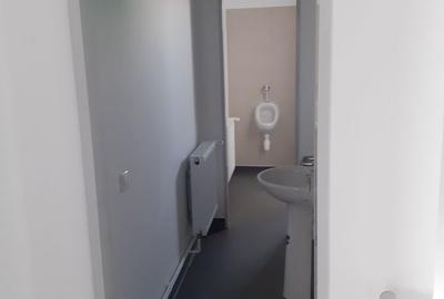 Spațiu industrial, de 600 mp, în Theodor Pallady - 10