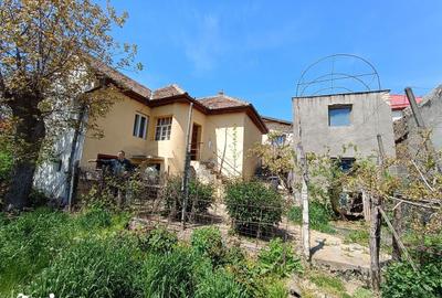Casă cu 3 camere cu Teren 260 Mp în Central - 7