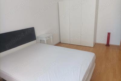 Se inchriaza apartament cu 2 camere Alba Tolstoi - 9